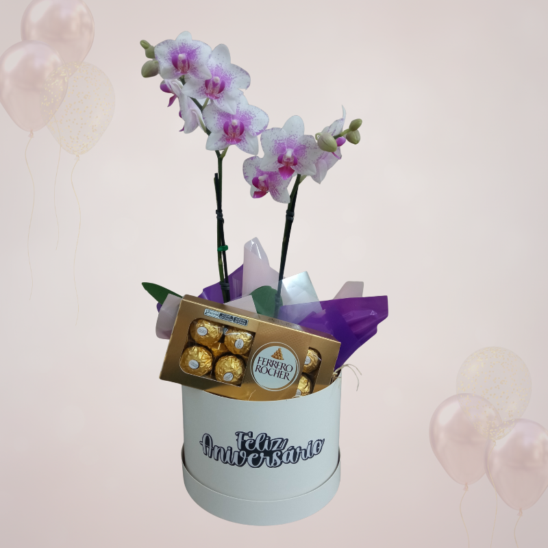 Mini Orquídea 2 Hastes Pote 9 - Cor Variada + Chocolate - Feliz Aniversário Mini Orquídea 2 Hastes Pote 9 - Cor Variada + Chocolate - Feliz Aniversário